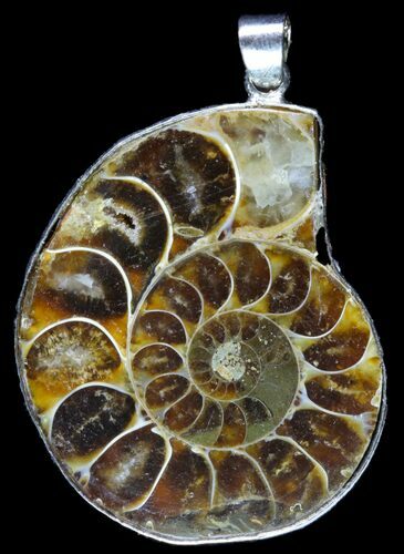 Fossil Ammonite Pendant - Million Years Old #89885